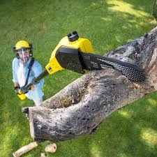 Best Pest Control for Lawns  in Alpha, NJ